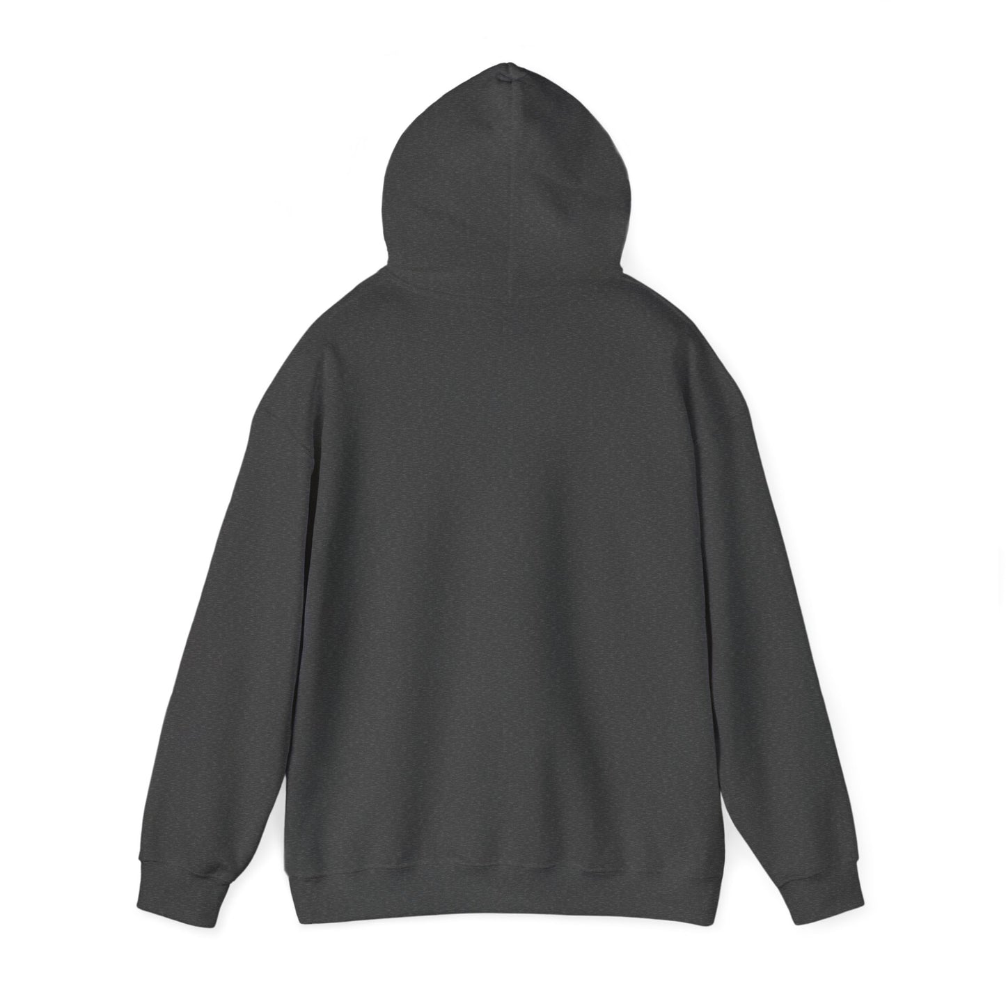 Unisex Heavy Blendā¢ Hooded Sweatshirt