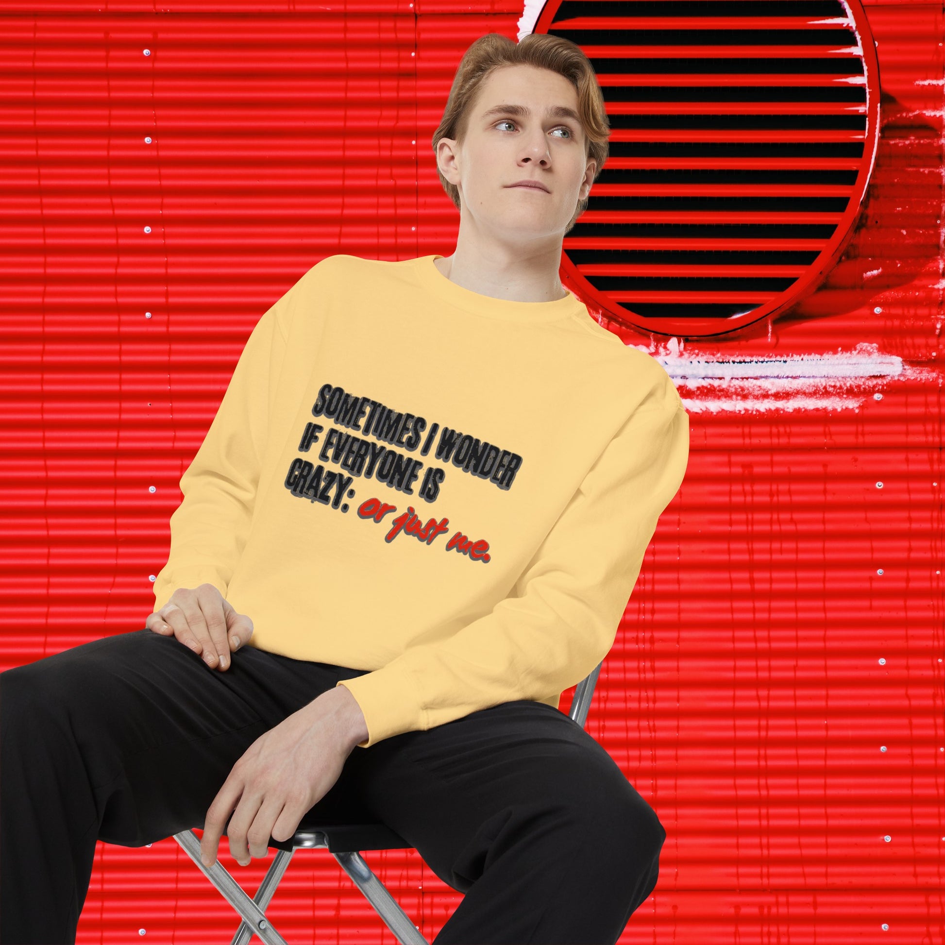 Ironic Humor Unisex Garment-Dyed Sweatshirt | Printzy Shop  π