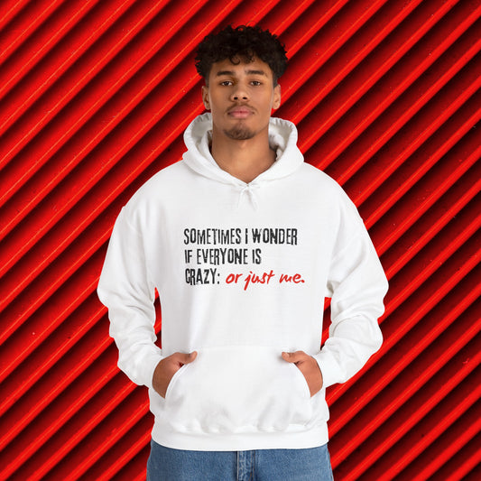 Unisex Ironic Humor™ Hooded Sweatshirt | Printzy Shop - 😏